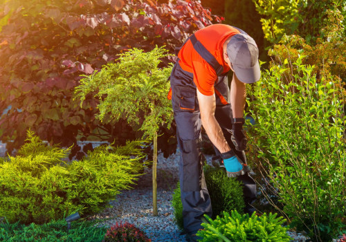 Benefits Of Hiring A Landscaping Company For Lawn Maintenance In Derry, New Hampshire